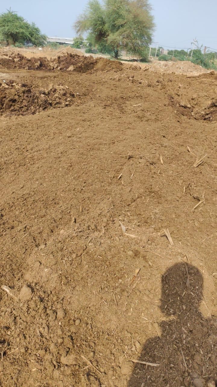 Natural Cow Dung Fertilizer