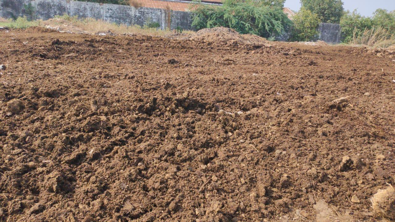 High-Quality Cow Dung Cakes